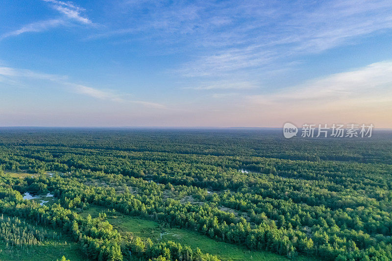 黄昏时的Muskoka Torrance Barrens Dark-Sky保护区，Gravenhurst，加拿大